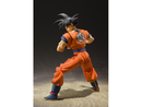 S.H.Figuarts - Dragonball Z - Goku (A Saiyan Raised On Earth) S.H.Figuarts - TOYBOT IMPORTZ