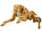 Transformers - Masterpiece MP-34 Cheetor [Restock] Takara Tomy - TOYBOT IMPORTZ