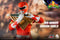 Mighty Morphin Power Rangers:  Dragon Shield Red Ranger 1/6 Scale Figure